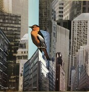 Birds in the City # 11