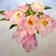 Luminescence    Oil on canvas.  42x42  C$2.500